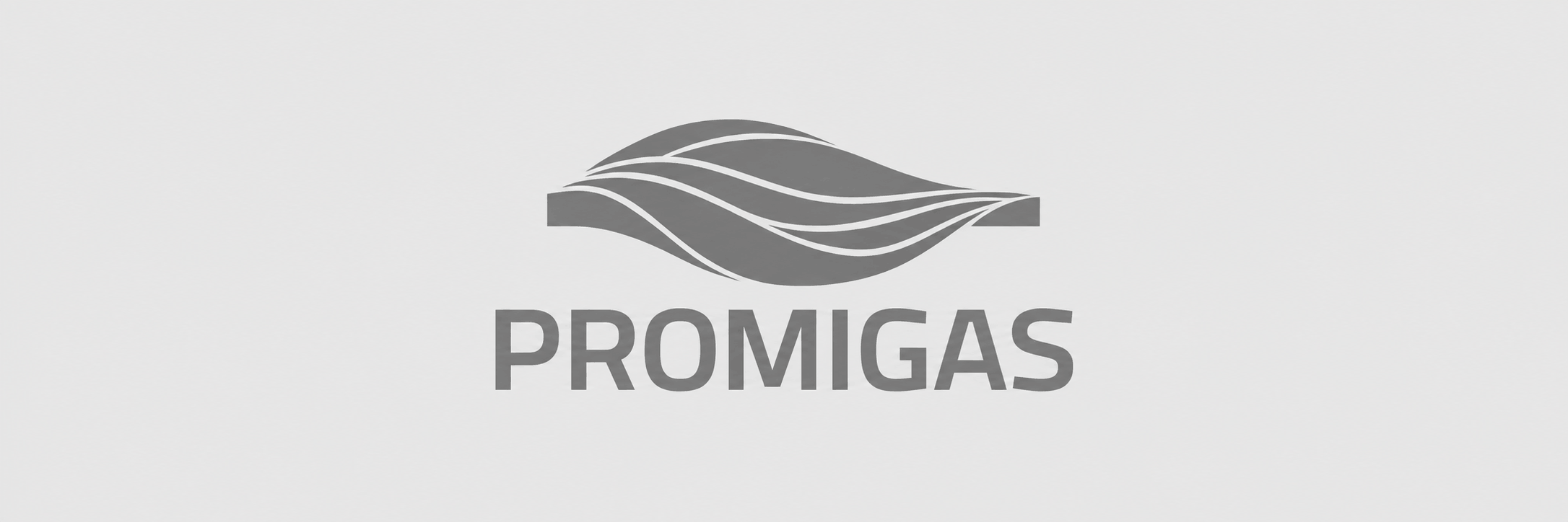 PROMIGAS (1)